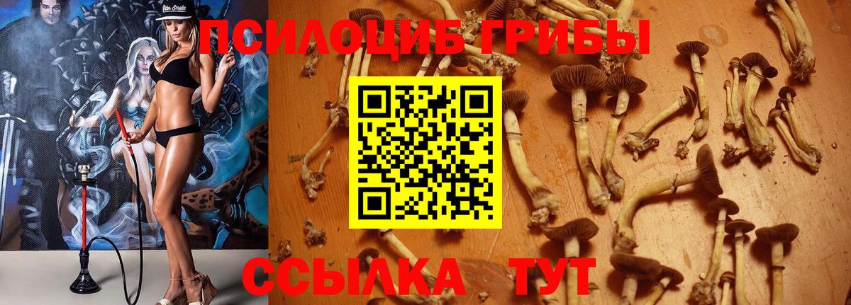 Рыбинск  Галлюциногенные грибы прущие грибы  Галлюциногенные грибы Psilocybine cubensis  Вход с VPN 