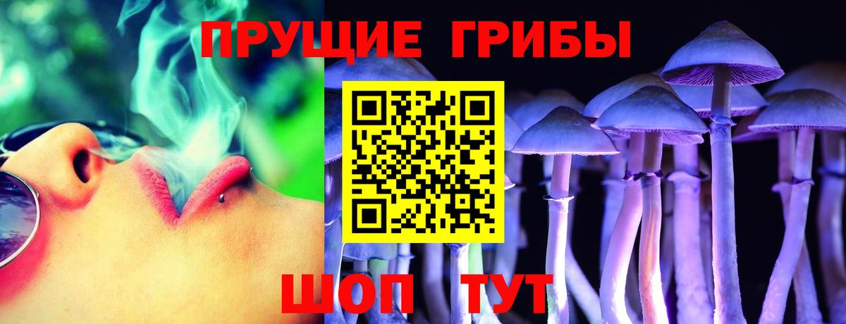 Псилоцибиновые грибы Psilocybe Рыбинск